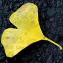 Jack Blanchard - @jablanc - Twitter