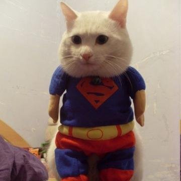 Funny news tweets everyday. If you wanna read more please visit my website. Thanks!