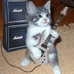 Hello, I tweet world's funny and trendy news everyday. If you like them,please visit my website.