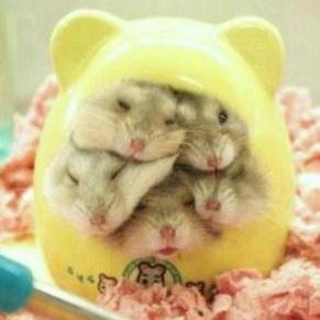 Hello, I tweet world's funny and trendy news everyday. If you like them,please visit my website.