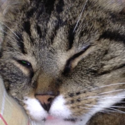 anne_valkama's profile picture. 