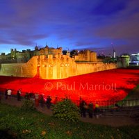 PaulMarriott (@marriottphotos1) 's Twitter Profile