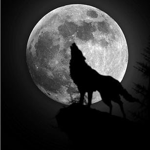 A profile page to archive @CorruptedFoxy's and @UnwaveringFides's SL. || Check favorites for Twitlongers. [[#FlippingPages]] | [TVD-TO-TW]