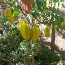 edward fu - @edwardfu613 - Twitter