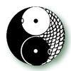 A book about apply universal Tai Chi principles to your every day life - good for all levels of students or teachers, regardless of style.