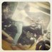 innovatoramit (@innovatoramit) Twitter profile photo
