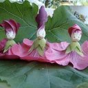 Ira Katz - @iraslutski - Twitter