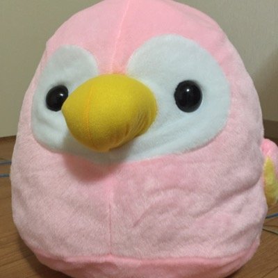 19歳 / 1995.1.31 / 神奈川 / 168cm