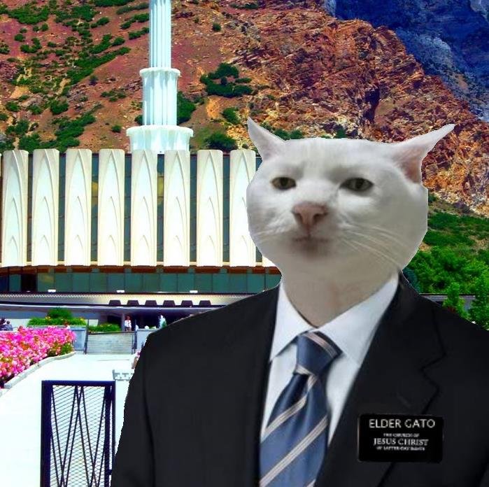 Animals need salvation too. Preaching to every pet store, litter, and herd. Mormon, LDS, and one cool cat...