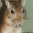 Stimey's profile image