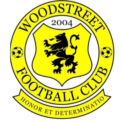 woodstreetsat Profile Picture