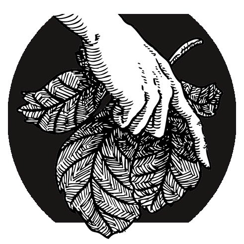 FigLeg's profile picture. music/mediaart/label
figleg@gmail.com