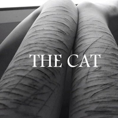 Cause darling i'm a nightmare dressed like a day dream