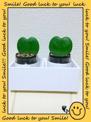 今日を笑顔で生きる事～人生なんて今日という日の積み重ね