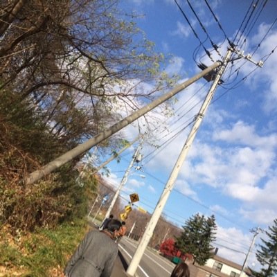 kurokoba8604's profile picture. 