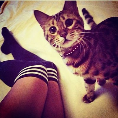 Murkina_Ksyusha's profile picture. 