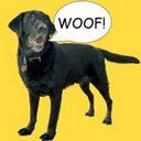 Lara Jordan - @far_to_go - Twitter