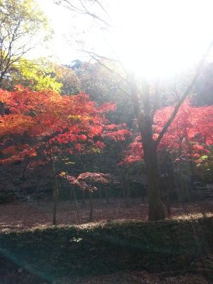 ijsk05271's profile picture. 