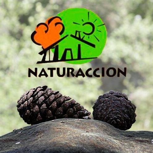 Empresa del sector del Turimo Activo y Ocio en Extremadura complementando con instalaciones deportivas y turísticas en provincia de Badajoz y de Cáceres.