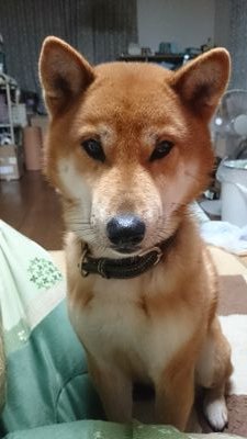 リョウ輔さんのプロフィール画像