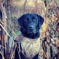 Casey McDowell (@caseymcdowell15) 's Twitter Profile