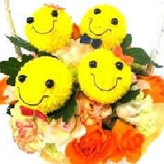 Hi there! I update funny facts and news everyday. If you want to read more please visit my website.
