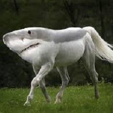 Hi there! I update funny facts and news everyday. If you want to read more please visit my website.