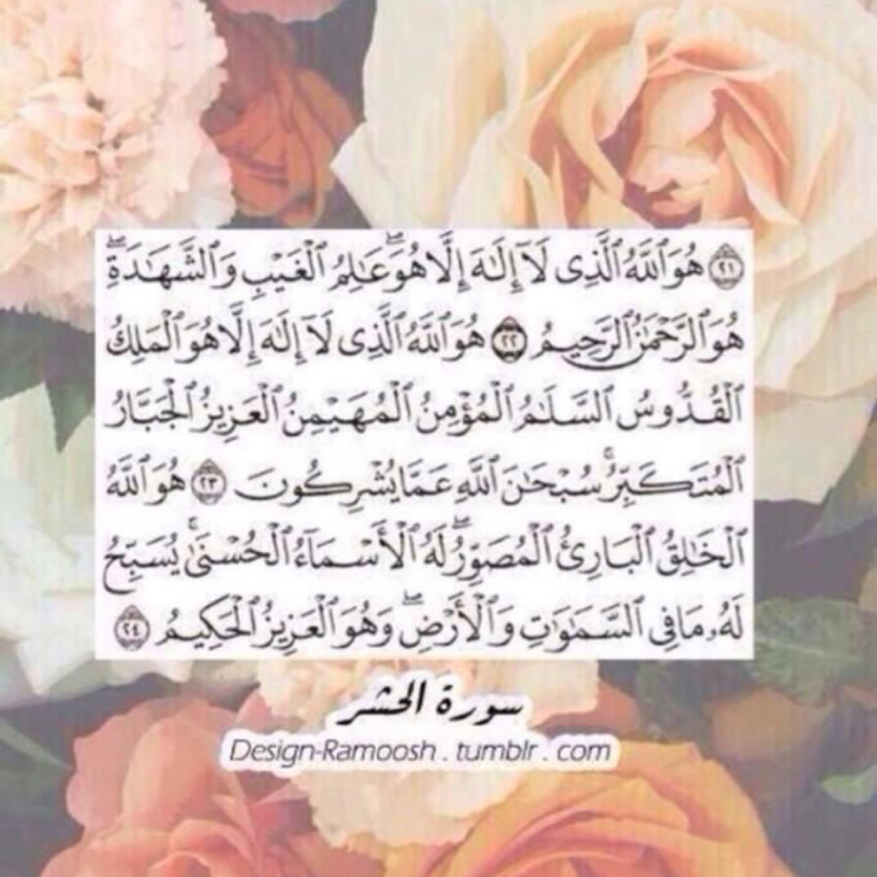 الخاص ممنوع