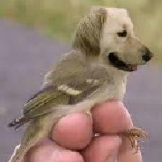 ManuelloAdio's profile picture. Hi there! I update funny facts and news everyday. If you want to read more please visit my website.