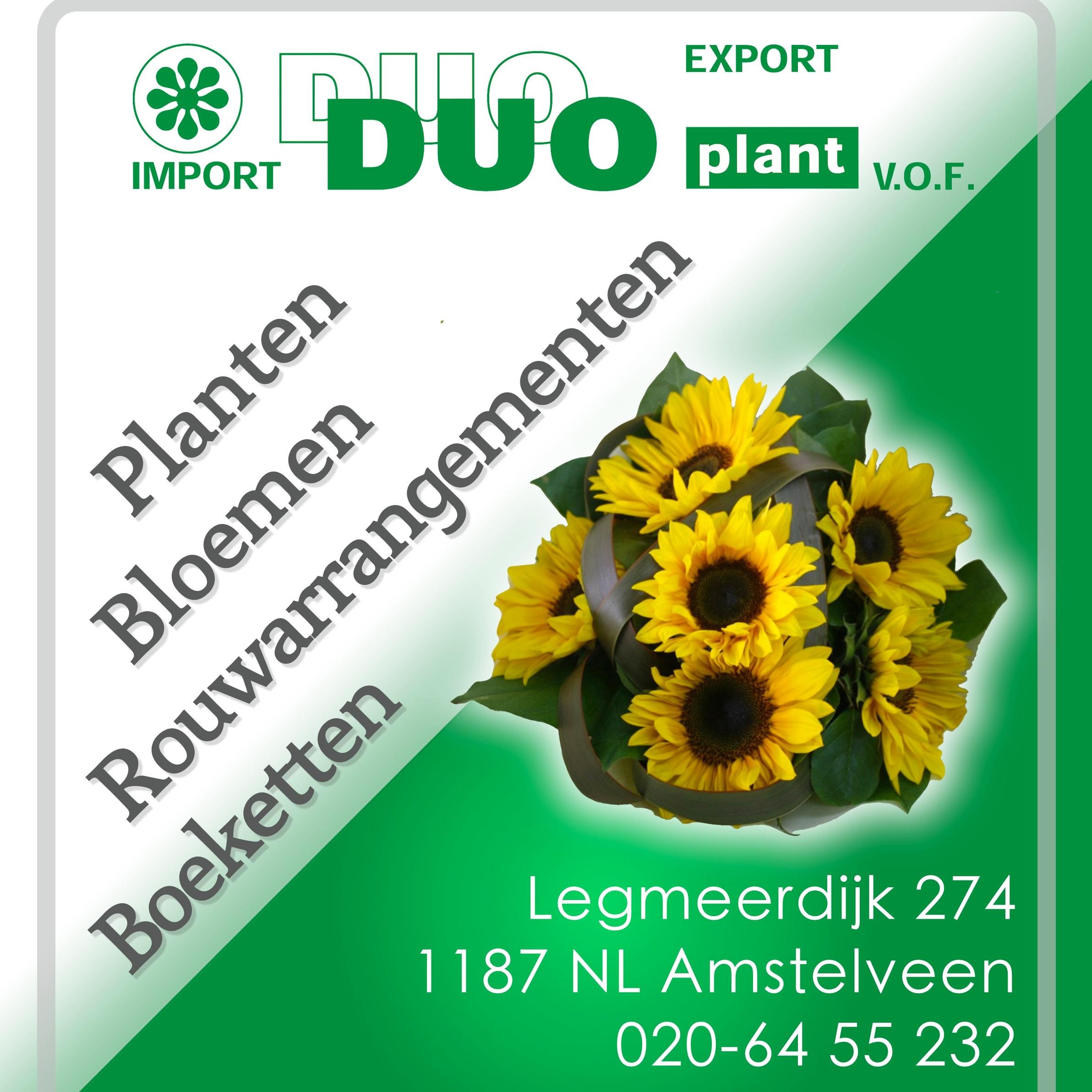 duoplant's profile picture. Familiebedrijf voor particulier en bedrijf in #bloemen #planten. Bloemenwinkels en groothandelscentrum #Amstelveen #Uithoorn #Aalsmeer #Mijdrecht.
