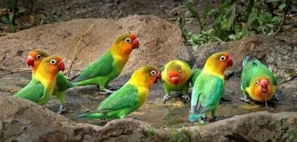 bondokbonok37's profile picture. teetoo