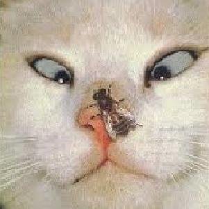 Hi there! I update funny facts and news everyday. If you want to read more please visit my website.