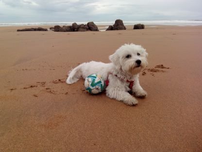 PaTSaNMaR's profile picture. Arquitecta Tecnica