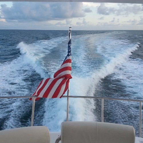 ls247nyc's profile picture. 