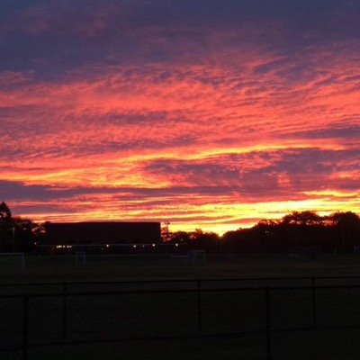 Anonymousshea's profile picture. 