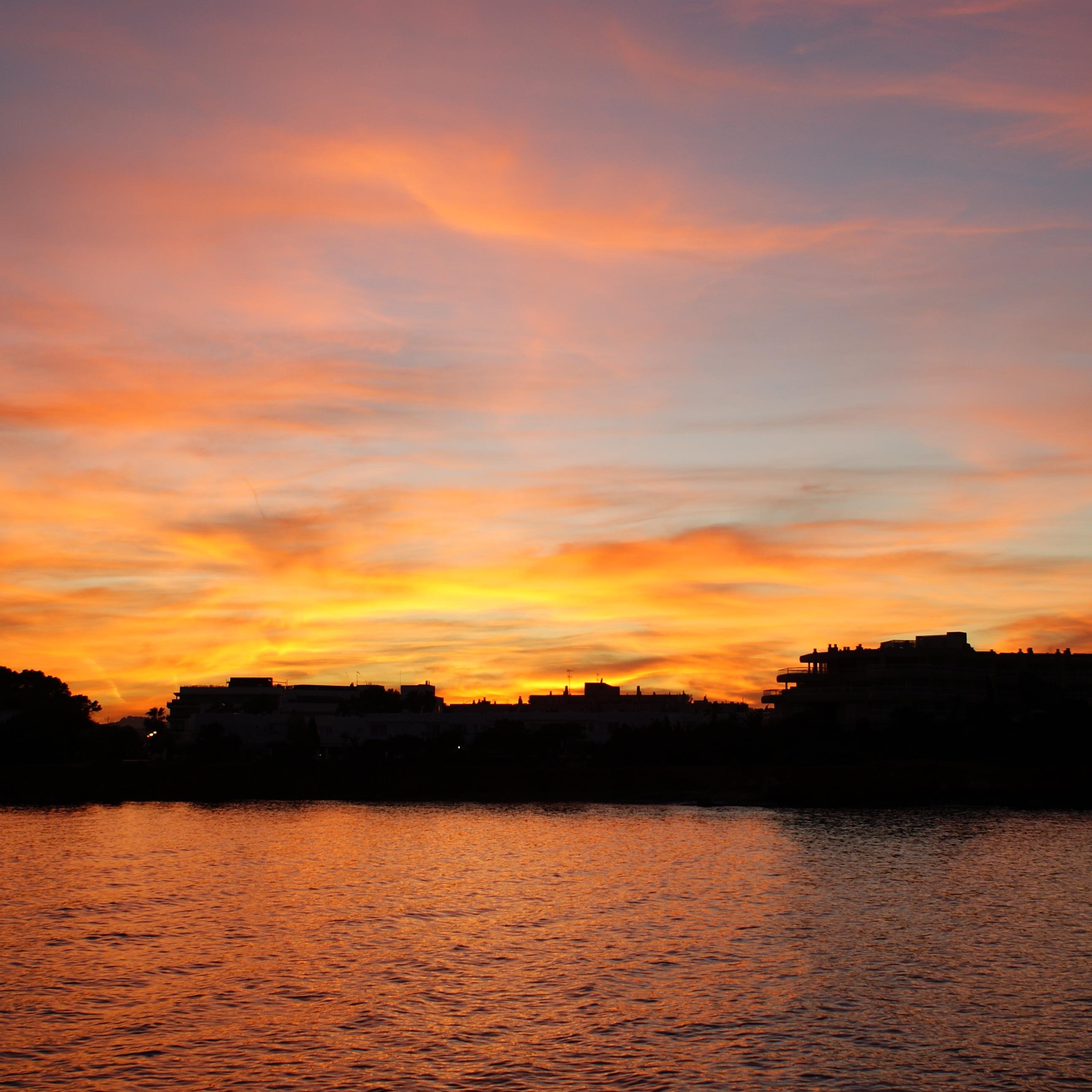 pinoroig's profile picture. 