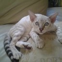 Deborah Renwick - @Spiderjockey10 - Twitter