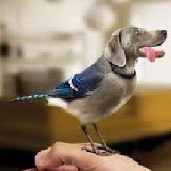 Hi there! I update funny facts and news everyday. If you want to read more please visit my website.