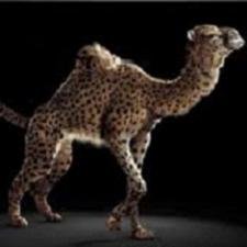 tazagelosix's profile picture. Hi there! I update funny facts and news everyday. If you want to read more please visit my website.