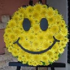 Hi there! I update funny facts and news everyday. If you want to read more please visit my website.