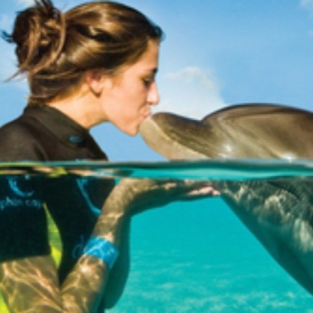 Karend7oevu2330's profile picture. 