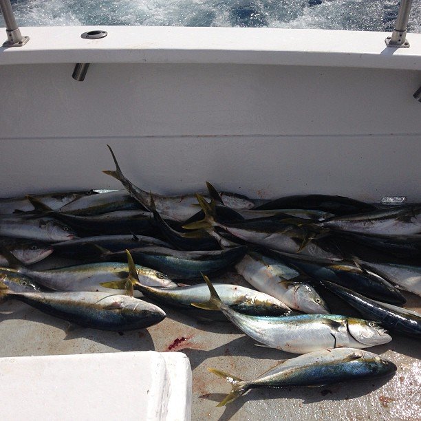 Karenk8vgkc4635's profile picture. 