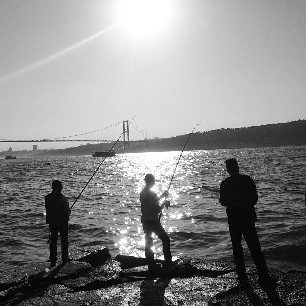 Karenj9hgkq5490's profile picture. 