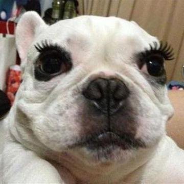 Funny and trendy news tweets everyday. If you wanna read more please visit my website. Thanks!