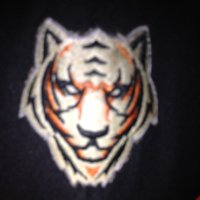 Reid VanScoter (@reidvanscoter) 's Twitter Profile
