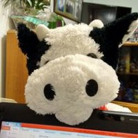 Javier Bores (@javibo13) 's Twitter Profile