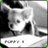 absalanbio1987's profile image