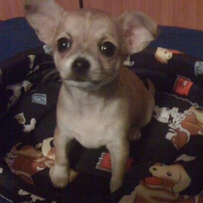 nmalossi9's profile picture. 