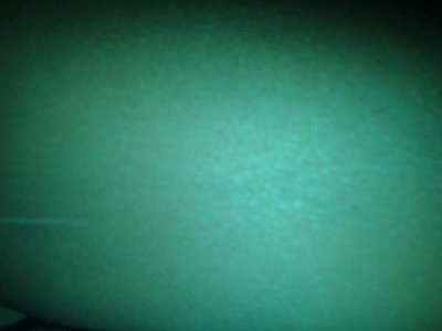 caroolineeguilh's profile picture. 