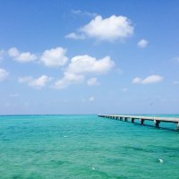 ＊❄️＊ (@yoshi_s_photo) Twitter profile photo